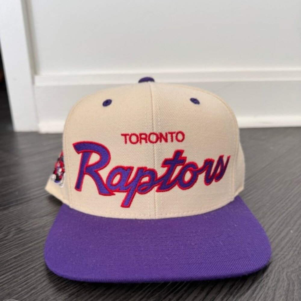 Toronto Raptors Mitchell & Ness Retro Snapback Cap